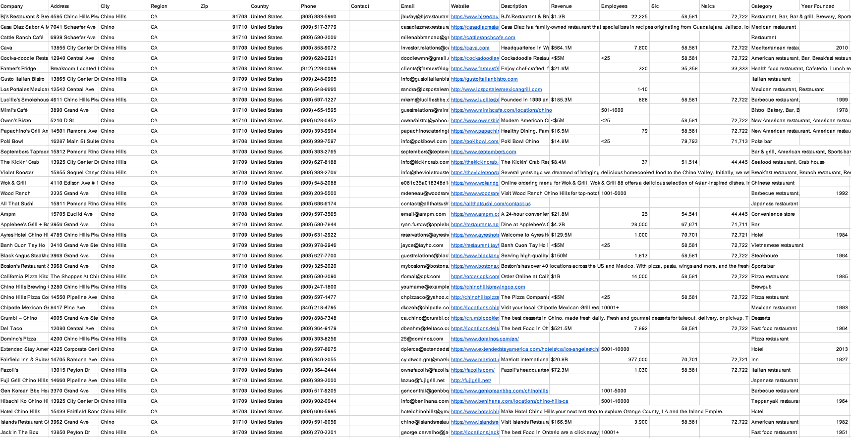 Google Maps Extractor CSV example Igeads