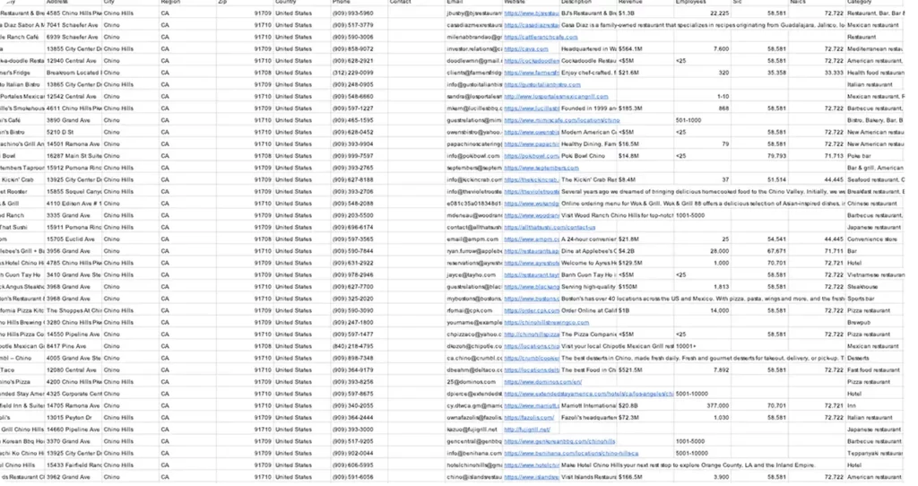 igleads-email-list-example